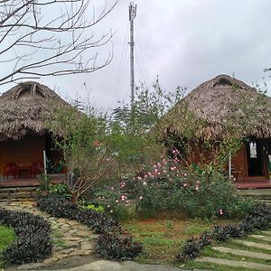 Cuc Phuong Bungalow